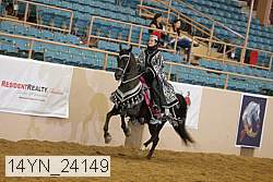 14yn_24149 thumbnail
