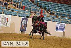 14yn_24156 thumbnail