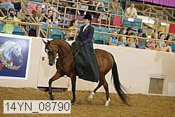 14yn_08790 thumbnail
