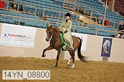 14yn_08800 thumbnail