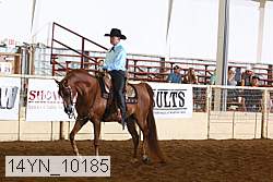 14yn_10185 thumbnail