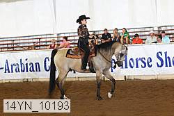 14yn_10193 thumbnail