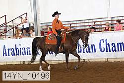 14yn_10196 thumbnail