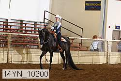 14yn_10200 thumbnail