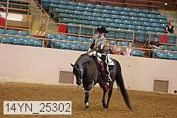 14yn_25302 thumbnail