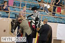 14yn_25305 thumbnail