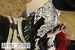 14yn_25391 thumbnail