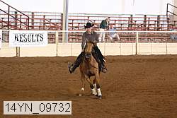 14yn_09732 thumbnail