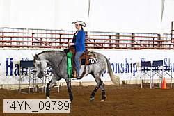 14yn_09789 thumbnail