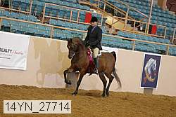 14yn_27714 thumbnail