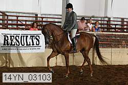14yn_03103 thumbnail