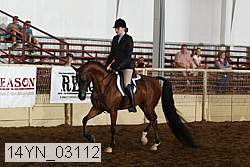 14yn_03112 thumbnail