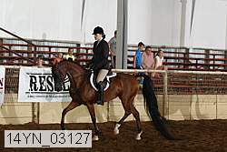 14yn_03127 thumbnail