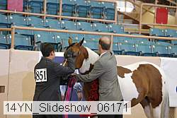 14yn_slideshow_06171 thumbnail
