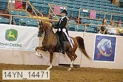 14yn_14471 thumbnail