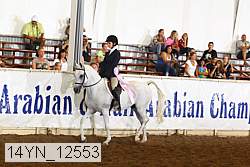 14yn_12553 thumbnail