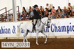 14yn_20731 thumbnail