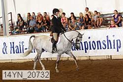 14yn_20732 thumbnail