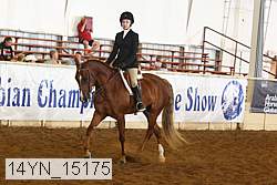 14yn_15175 thumbnail