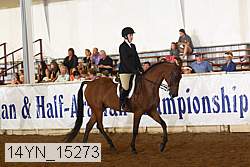14yn_15273 thumbnail
