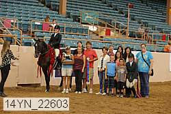 14yn_22603 thumbnail
