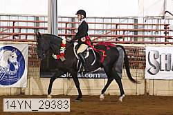 14yn_29383 thumbnail