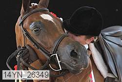 14yn_26349 thumbnail