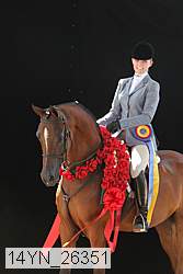 14yn_26351 thumbnail