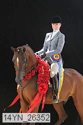 14yn_26352 thumbnail