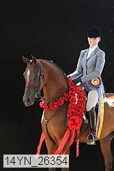 14yn_26354 thumbnail
