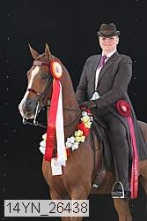 14yn_26438 thumbnail