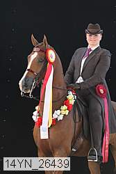 14yn_26439 thumbnail