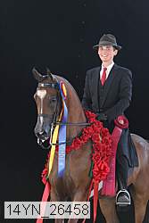 14yn_26458 thumbnail