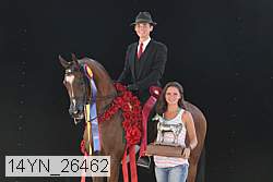 14yn_26462 thumbnail