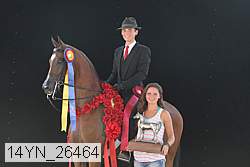 14yn_26464 thumbnail