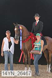 14yn_26467 thumbnail