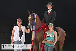 14yn_26470 thumbnail