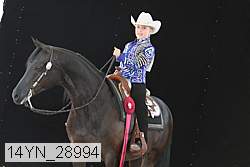 14yn_28994 thumbnail