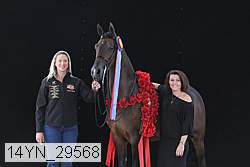 14yn_29568 thumbnail