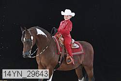 14yn_29643 thumbnail