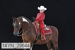 14yn_29644 thumbnail