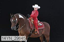 14yn_29645 thumbnail