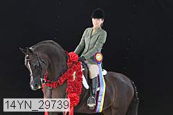14yn_29739 thumbnail