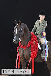 14yn_29740 thumbnail