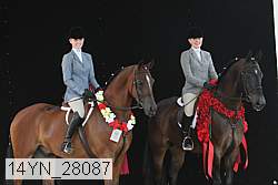 14yn_28087 thumbnail