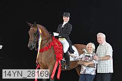 14yn_28169 thumbnail