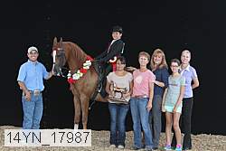 14yn_17987 thumbnail