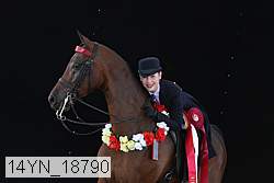 14yn_18790 thumbnail