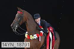 14yn_18791 thumbnail