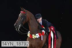 14yn_18792 thumbnail